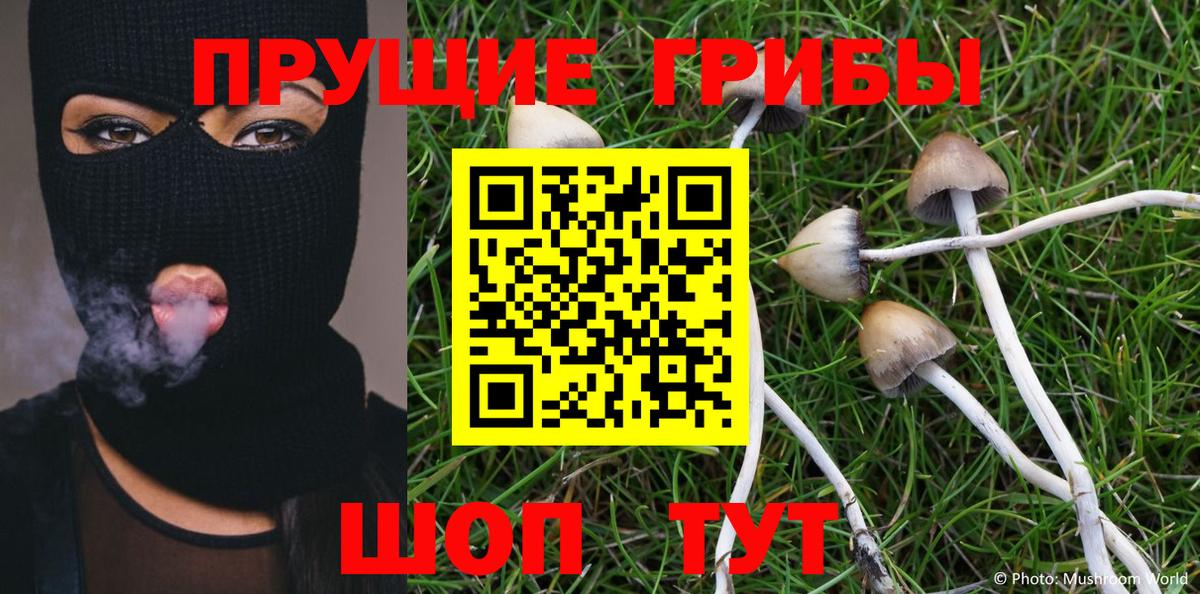 Псилоцибиновые грибы MAGIC MUSHROOMS Ирбит