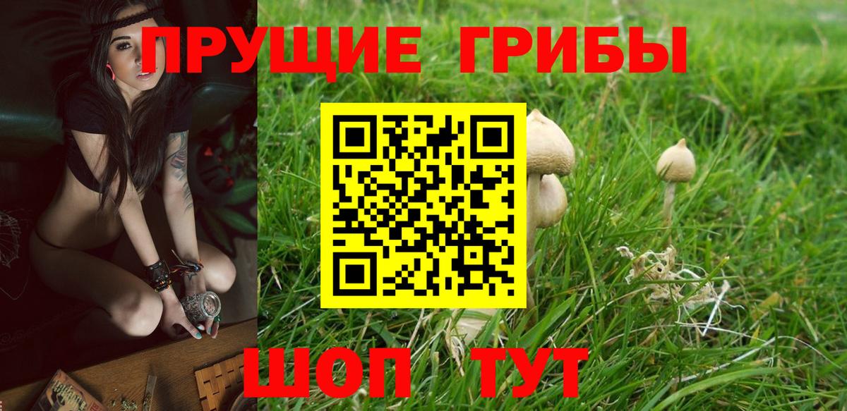 Ирбит  купить наркотик  Галлюциногенные грибы прущие грибы  Вход с VPN  Галлюциногенные грибы мухоморы 